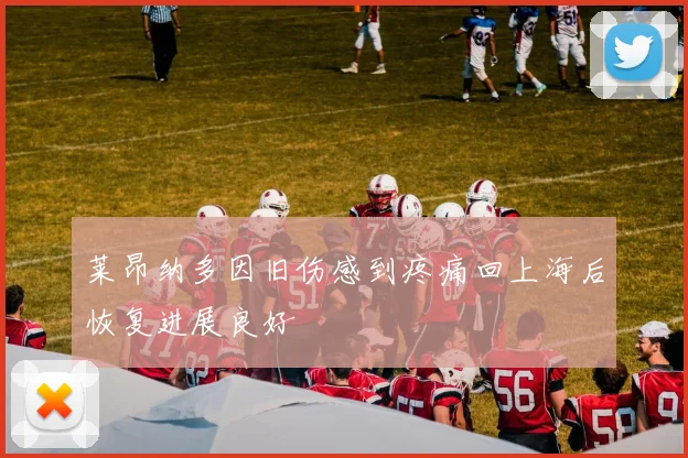 莱昂纳多因旧伤感到疼痛回上海后恢复进展良好